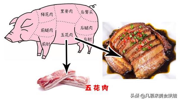 母猪肉怎么辨别图片
