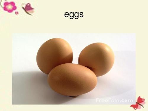鸡蛋的英语单词